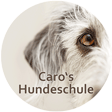 Logo Hundeschule